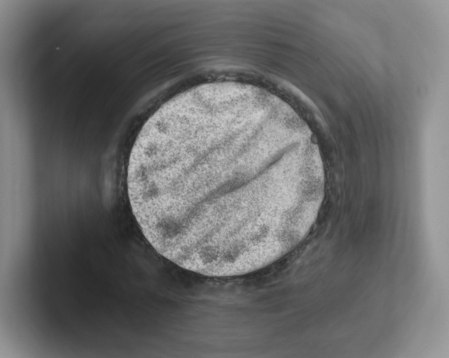 X0000101650775200808071114