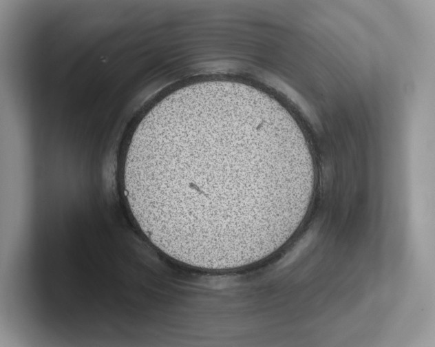 X0000101650778200808071114
