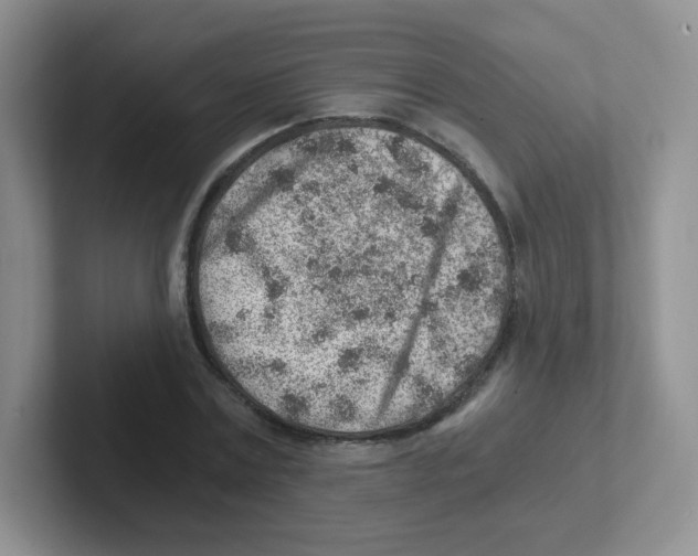 X0000101650779200808071114