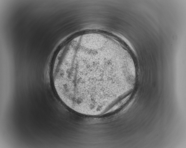 X0000101650783200808071114