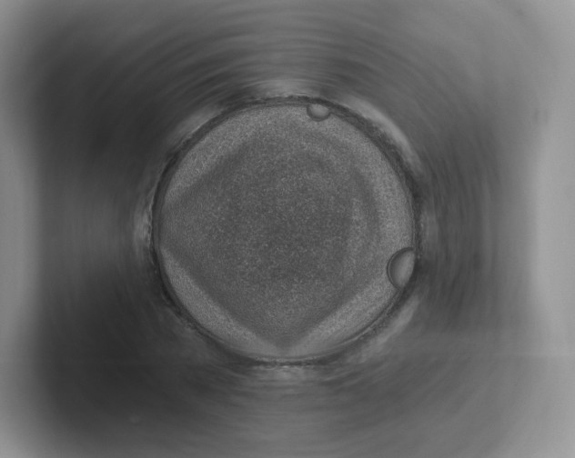 X0000101650785200808071114