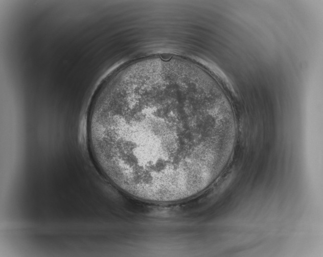 X0000101650790200808071113