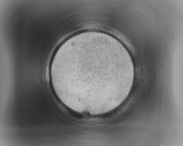 X0000101650791200808071113