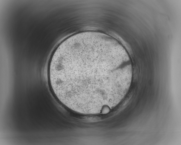 X0000101650795200808071113