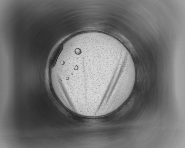 X0000101650796200808071113
