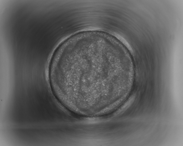 X0000101650797200808071113