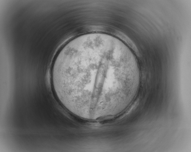 X0000101650798200808071113