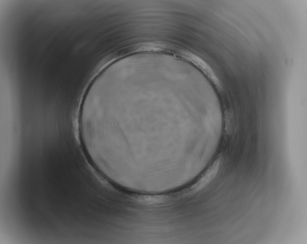 X0000101650802200808071113