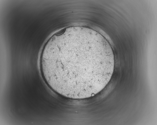 X0000101650803200808071113