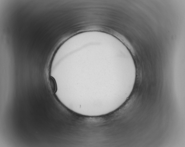 X0000101650805200808071113