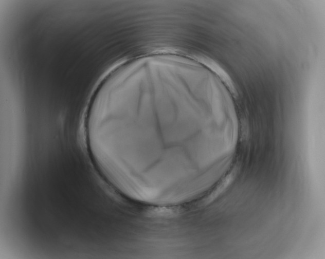 X0000101650806200808071113