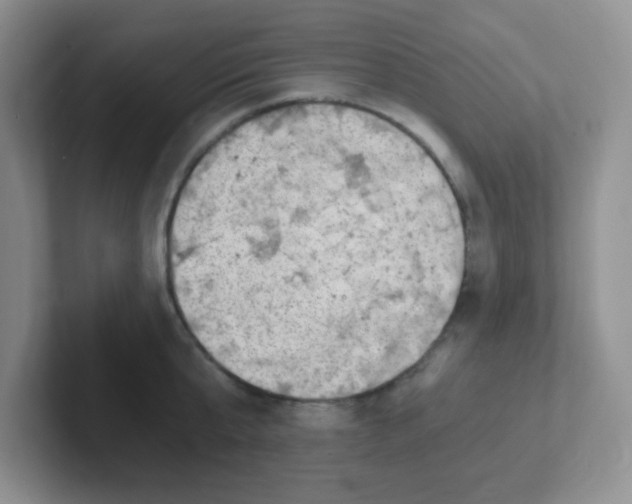 X0000101650807200808071113