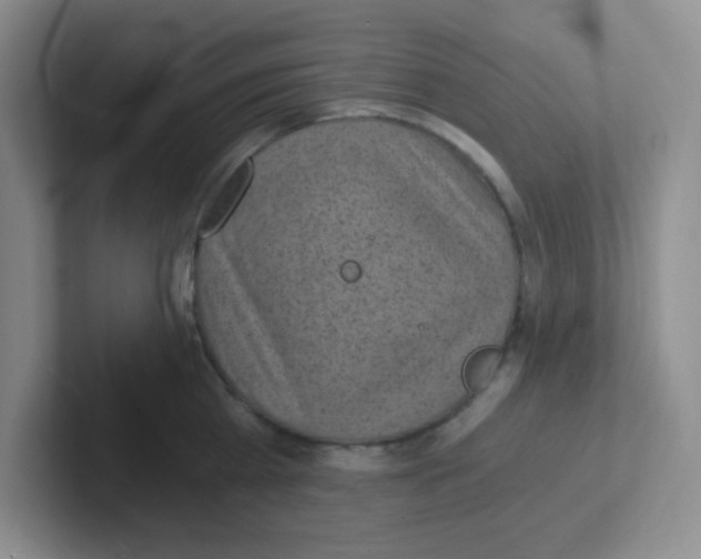 X0000101650809200808071113