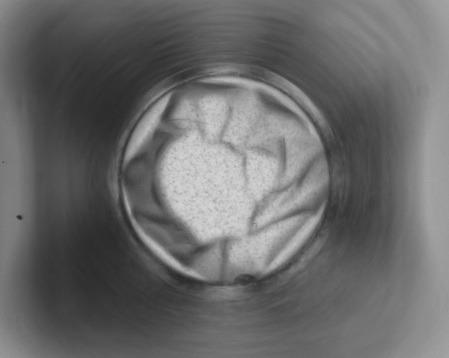 X0000101650810200808071113