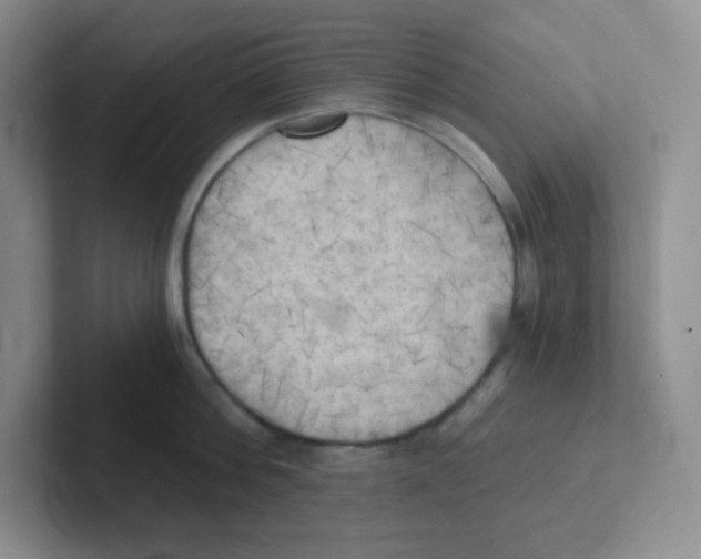 X0000101650812200808071113