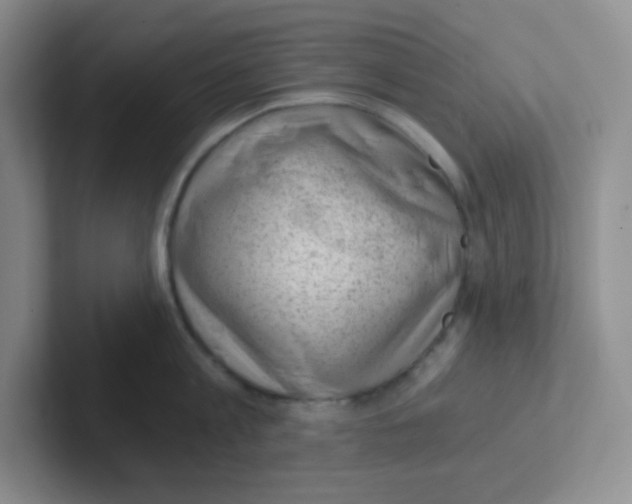 X0000101650813200808071113