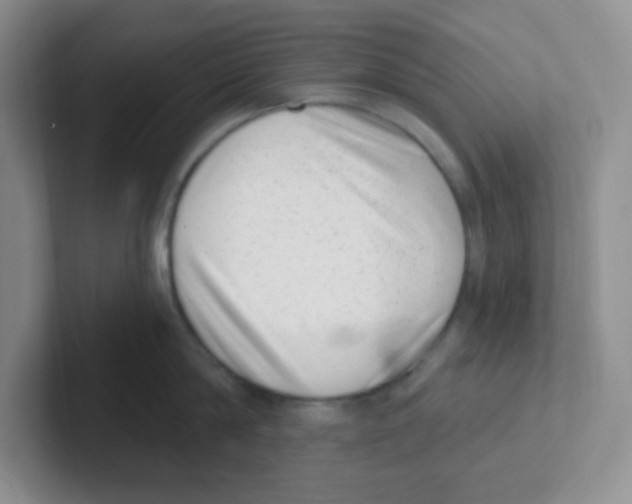 X0000101650814200808071113