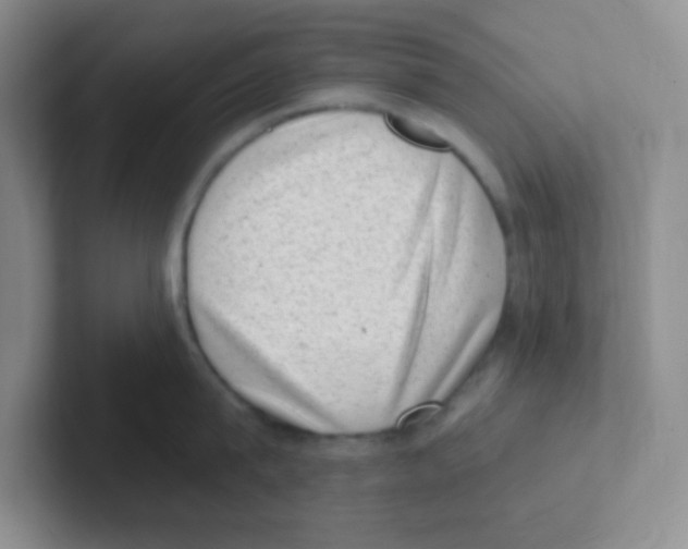 X0000101650815200808071113