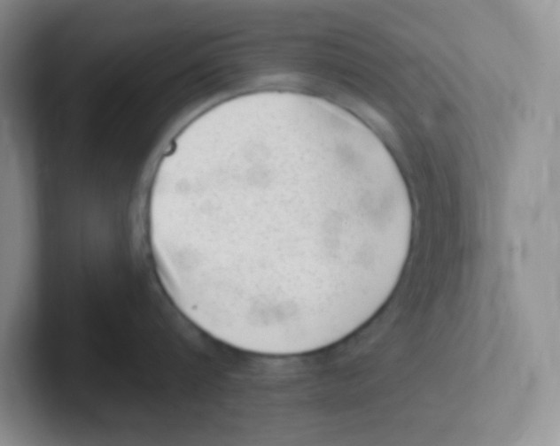 X0000101650816200808071113