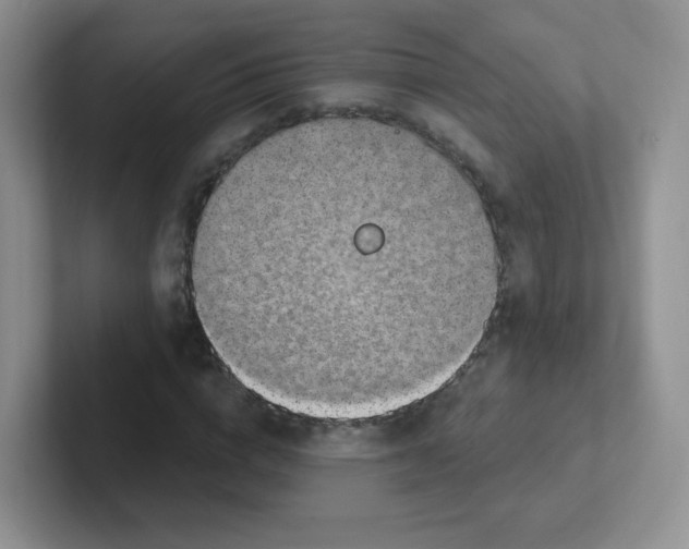 X0000101650824200808071113