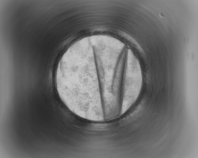 X0000101650825200808071113