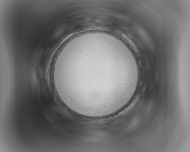 X0000101650828200808071113