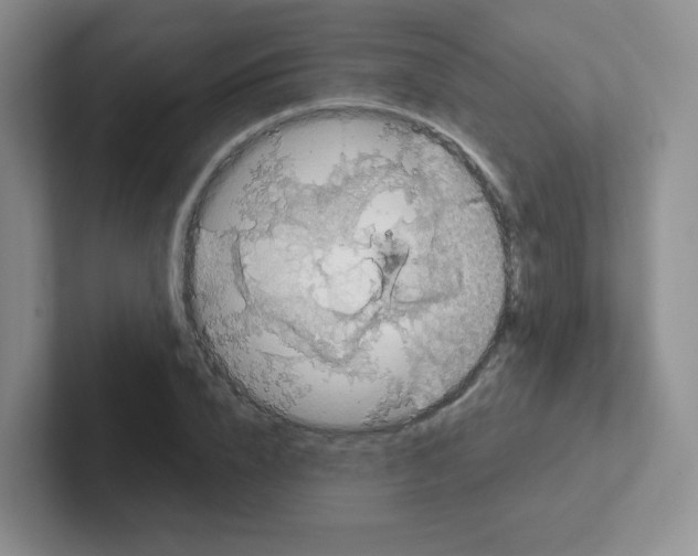 X0000101650832200808071113