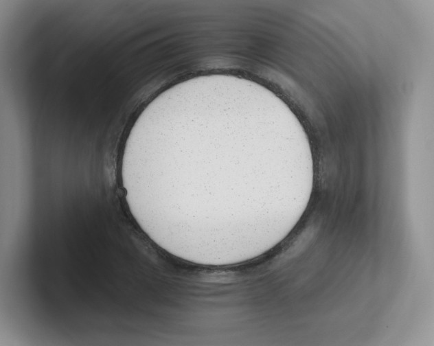 X0000101650833200808071113