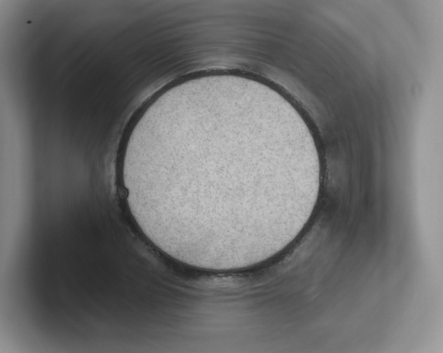 X0000101650834200808071113