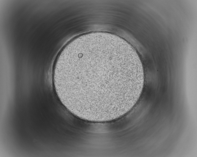 X0000101650836200808071113