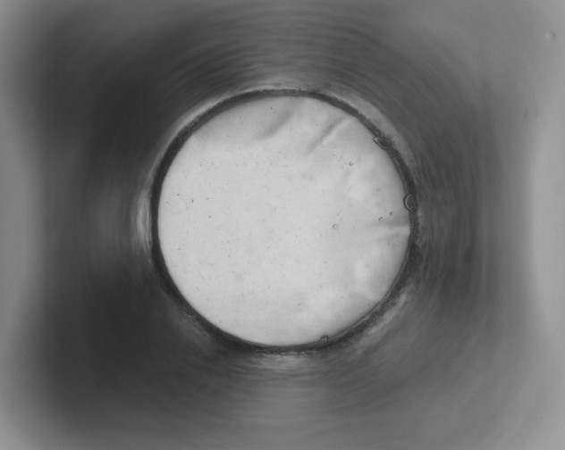 X0000101650838200808071113