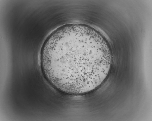 X0000101650839200808071113