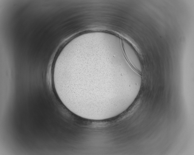 X0000101650840200808071113