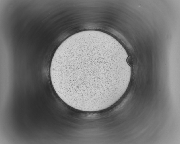 X0000101650841200808071113