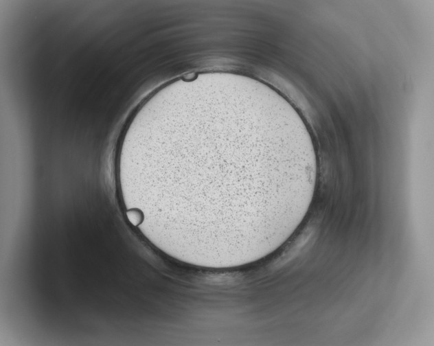 X0000101650843200808071113
