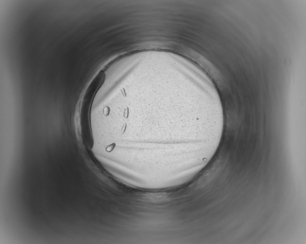 X0000101650844200808071113