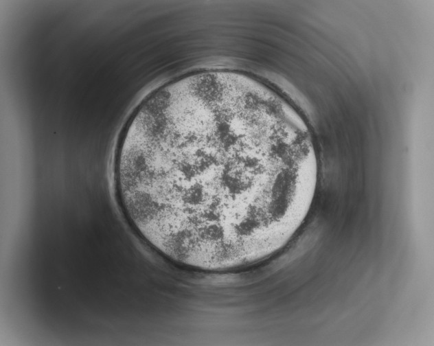 X0000101650845200808071113