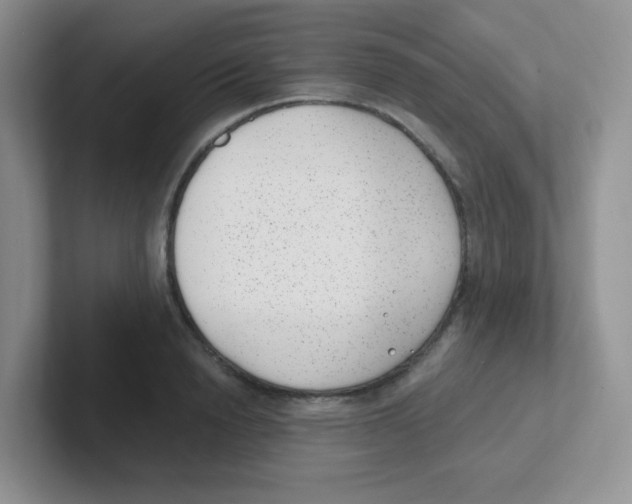 X0000101650846200808071113
