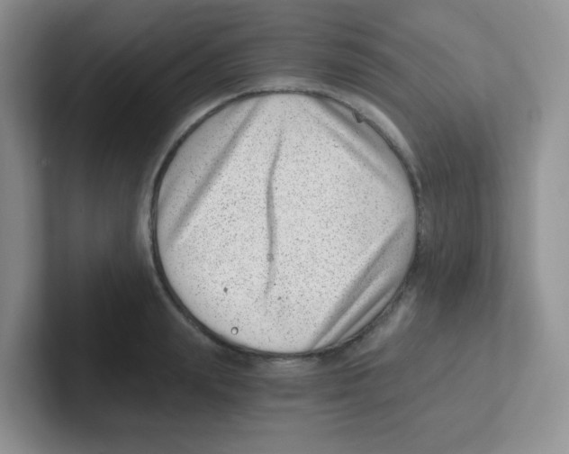 X0000101650847200808071113