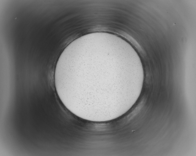 X0000101650849200808071113