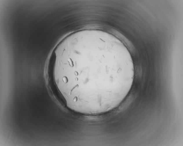 X0000101650852200808071113