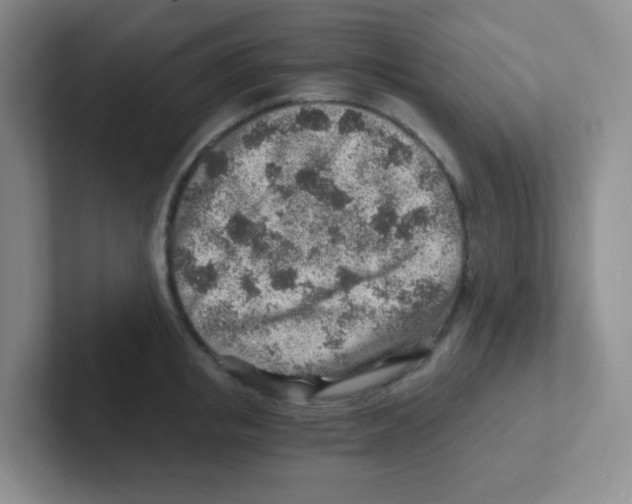 X0000101650853200808071113