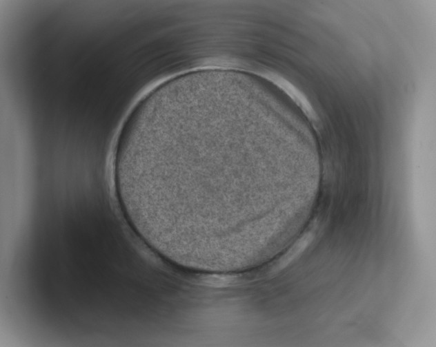 X0000101650854200808071113