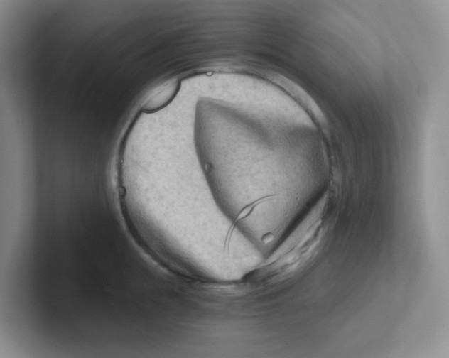 X0000101650855200808071113