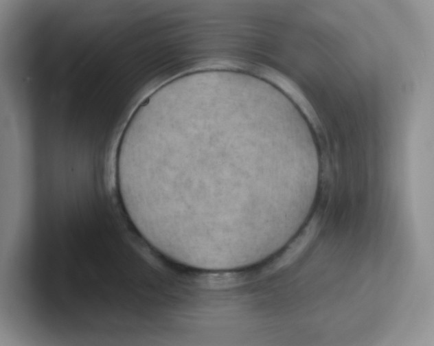 X0000101650858200808071113