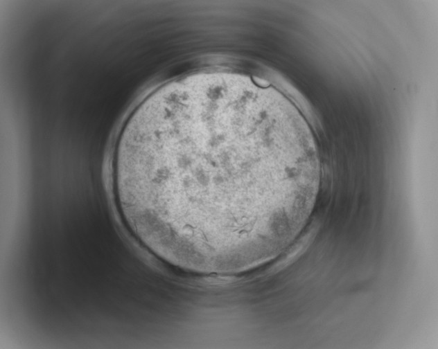 X0000101650859200808071113