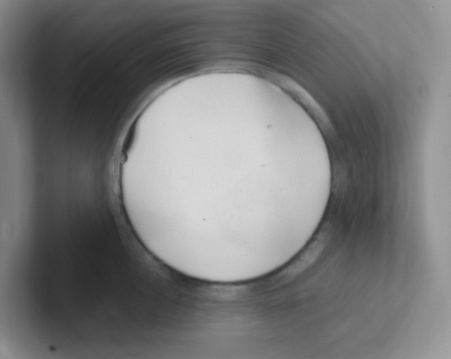 X0000101650860200808071113
