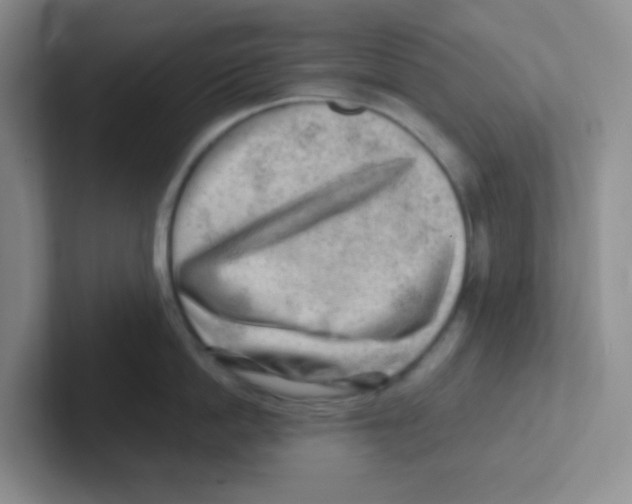 X0000101650862200808071113