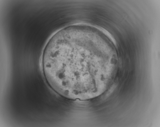 X0000101650863200808071113