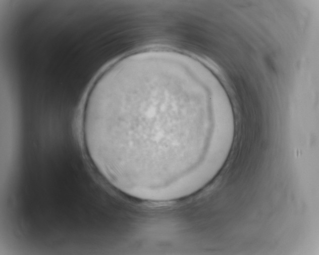 X0000101650864200808071113